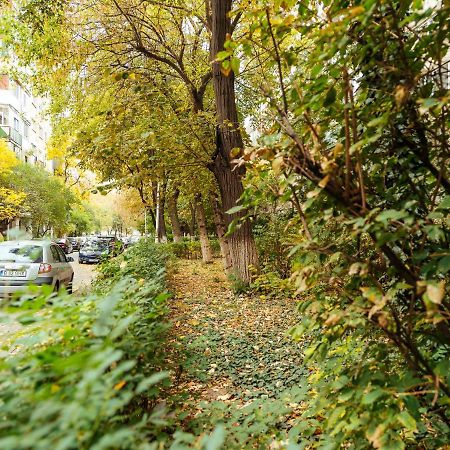 Woody - Cozy And Quiet Place Near Moghioros Park Bucharest Luaran gambar