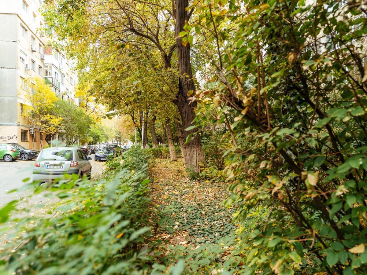 Woody - Cozy And Quiet Place Near Moghioros Park Bucharest Luaran gambar
